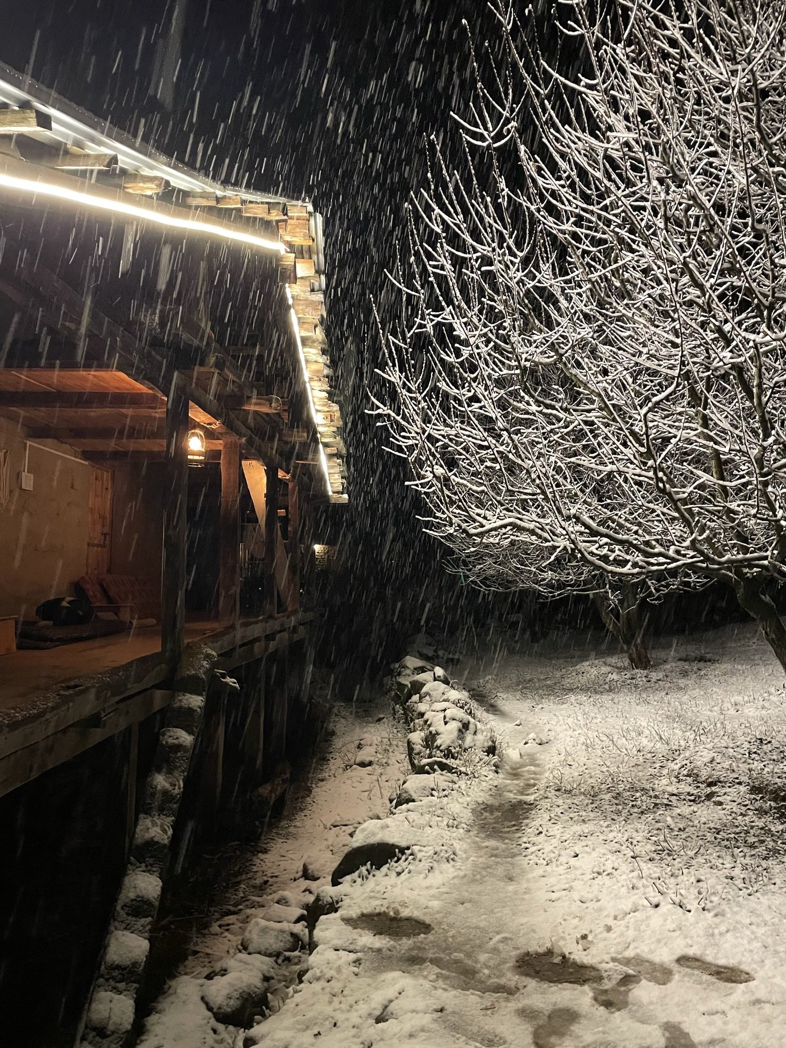 Snowy night with string lights